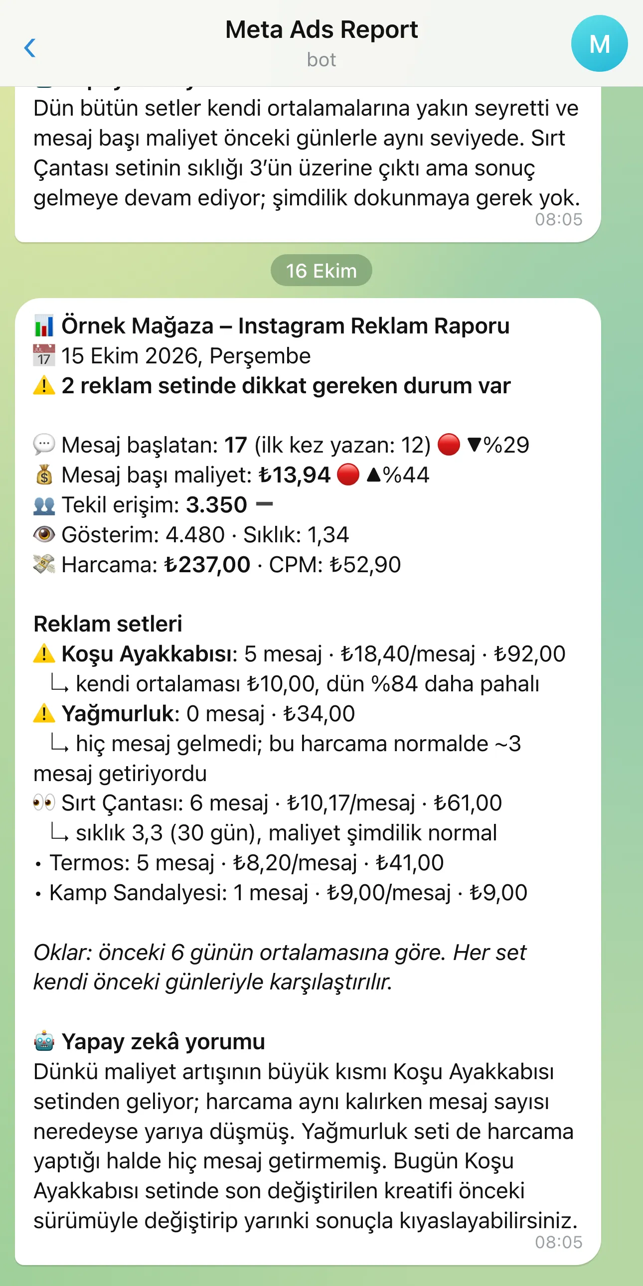 Temsili örnek: mağaza, reklam setleri ve rakamlar kurgu; biçim gerçek raporla aynı. Uyarılı iki set listenin en üstünde, nedeni hemen altında; sıklığı yüksek ama maliyeti normal olan set 👀 ile izlemede.